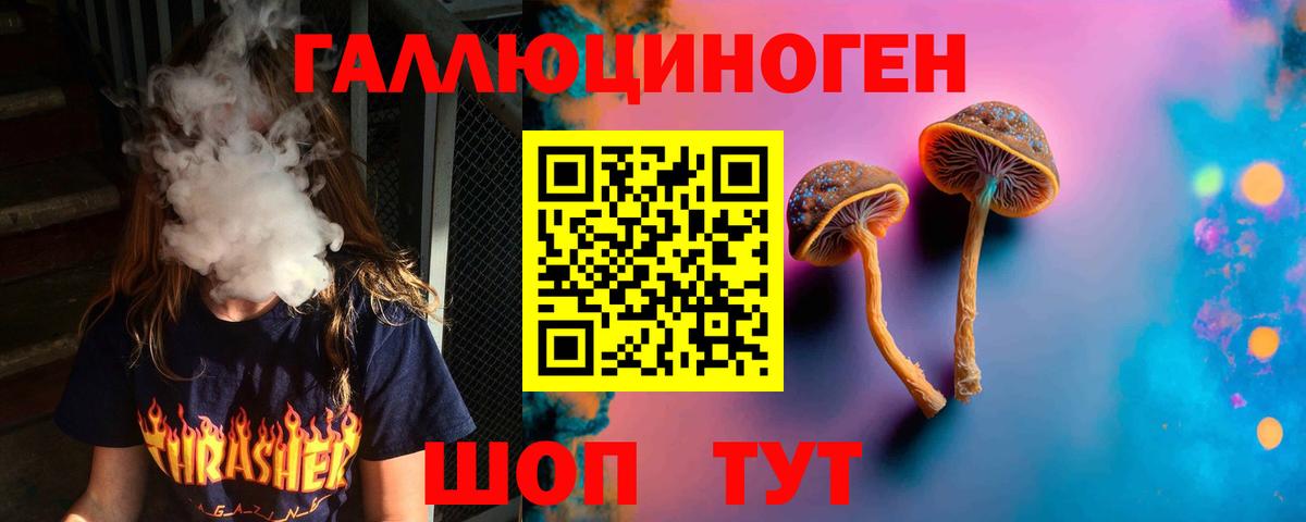 Псилоцибиновые грибы Cubensis Еманжелинск